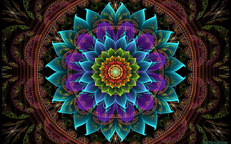 Vitreous Flower, flower, colors, abstract, fractal, HD wallpaper