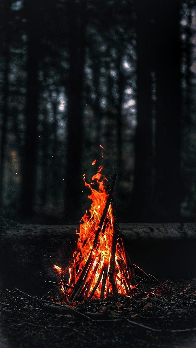 Fire r , fire, r forest, night, black, HD phone wallpaper