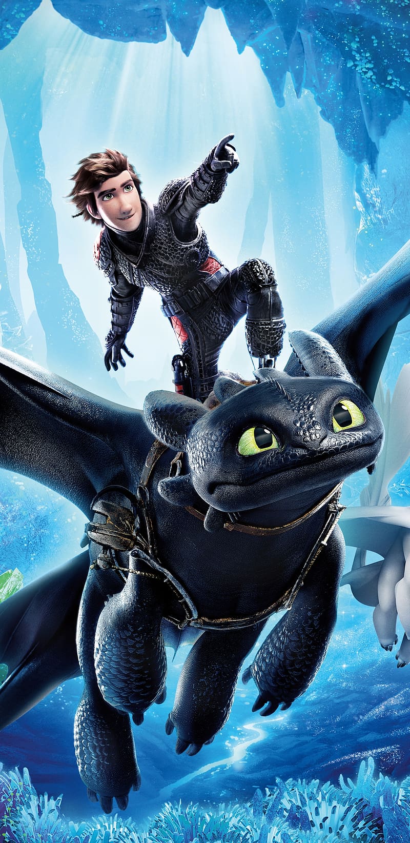 Movie, Toothless (How To Train Your Dragon), Hiccup (How To Train Your Dragon), How To Train Your Dragon, How To Train Your Dragon: The Hidden World, HD phone wallpaper