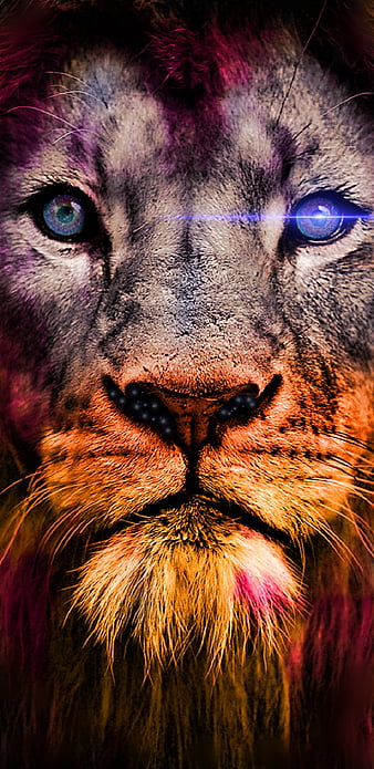 Colorful Lion Wallpaper