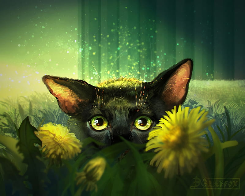 cat, flowers, art, eyes, glance, HD wallpaper