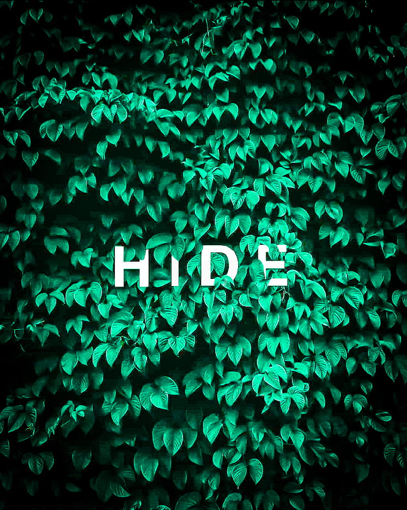 Hidden nature, dot notch, edge, love, HD phone wallpaper