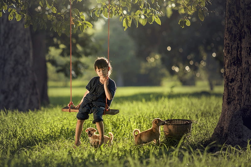 Little girl, pretty, grass, adorable, play, sightly, sweet, nice, beauty, face, child, dog, bonny, lovely, pure, baby, cute, sit, swing, white, Hair, little, Nexus, bonito, dainty, kid, graphy, fair, green, people, pink, Belle, forest, comely, tree, girl, nature, childhood, HD wallpaper