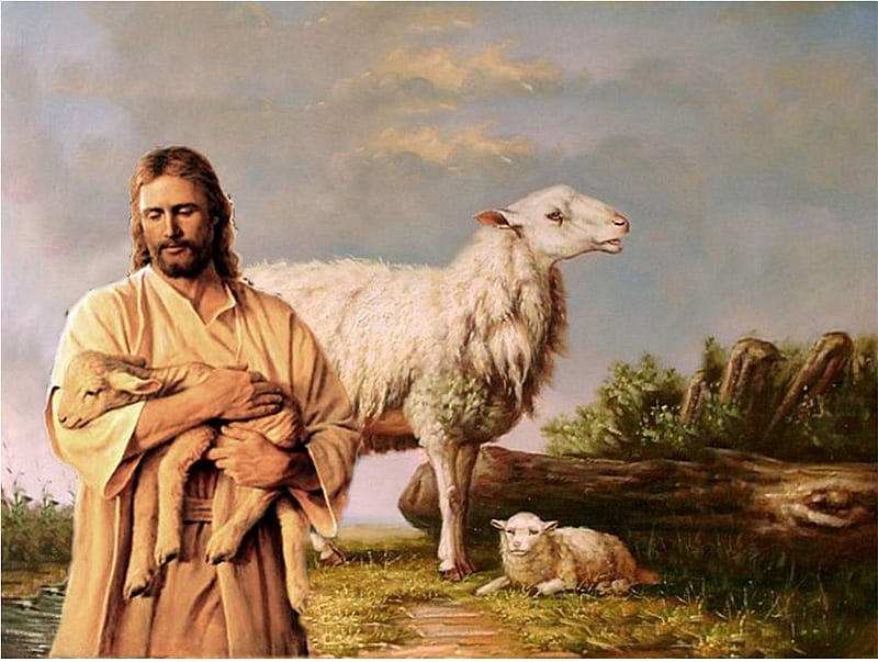 My Savior Jesus Christ, christ, sheep, jesus, lamb, religion, shepherd, god, HD wallpaper