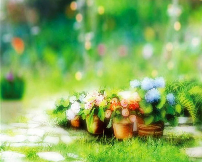 Flowers in the Garden, garden, flowers, pot, blurr, HD wallpaper | Peakpx