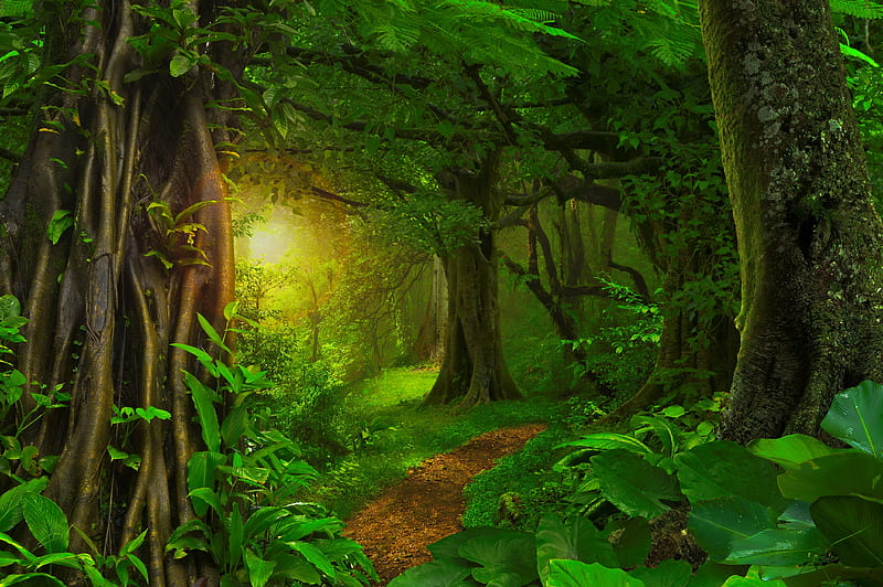 Magical forest, pretty, forest, glow, lovely, greenery, bonito, fairytale,  trees, HD wallpaper