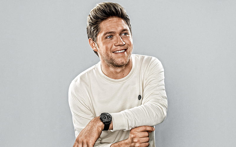 Niall Horan, Irish singer, portrait, hoot, smile, One Direction, Irish Star, HD wallpaper