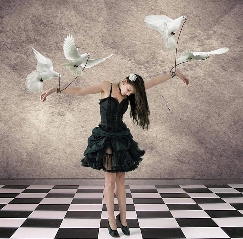 ◈ Dove Maiden ◈, Birds, Bind, Doves, Girl, White, checkfloor, Wings, HD wallpaper