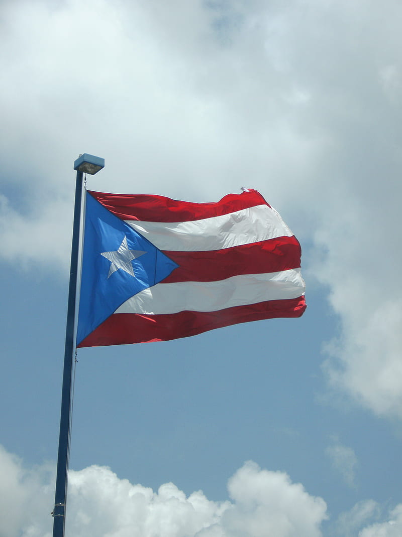 Puerto Rico Flag, flags, HD phone wallpaper