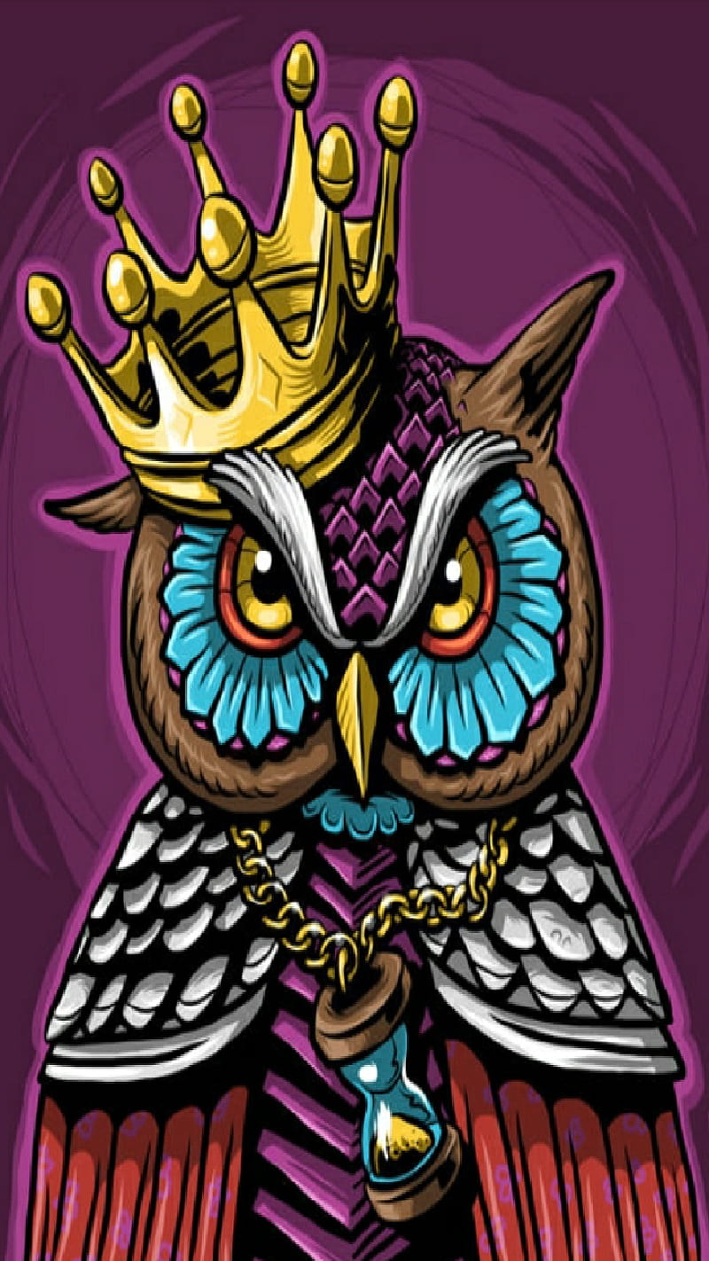 King Hooty, bird, cartoon, fun, hoot, owl, HD phone wallpaper | Peakpx