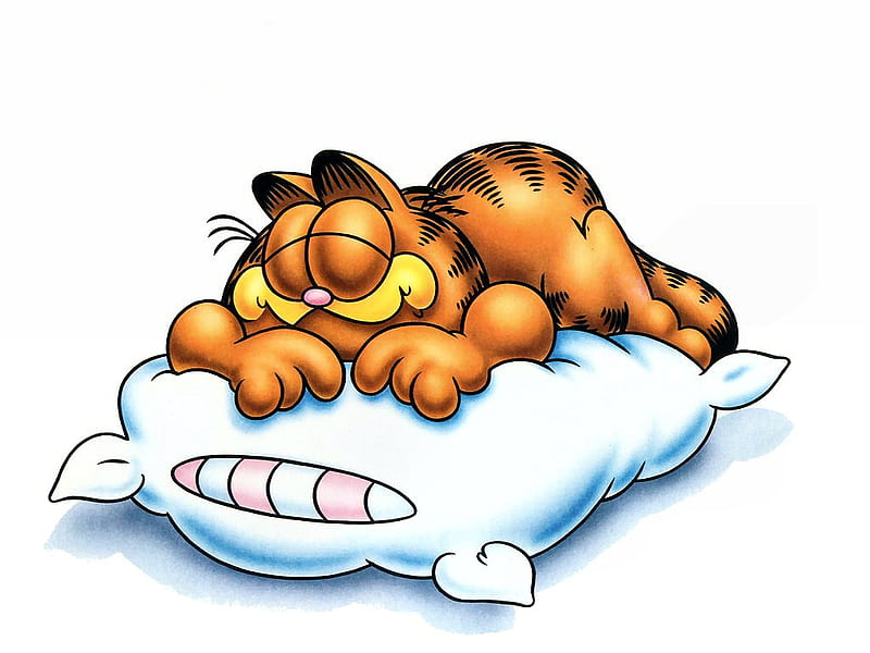 Garfield sleepy, kitty, cartoon collection, cat, abstract, animals, other,  HD wallpaper | Peakpx