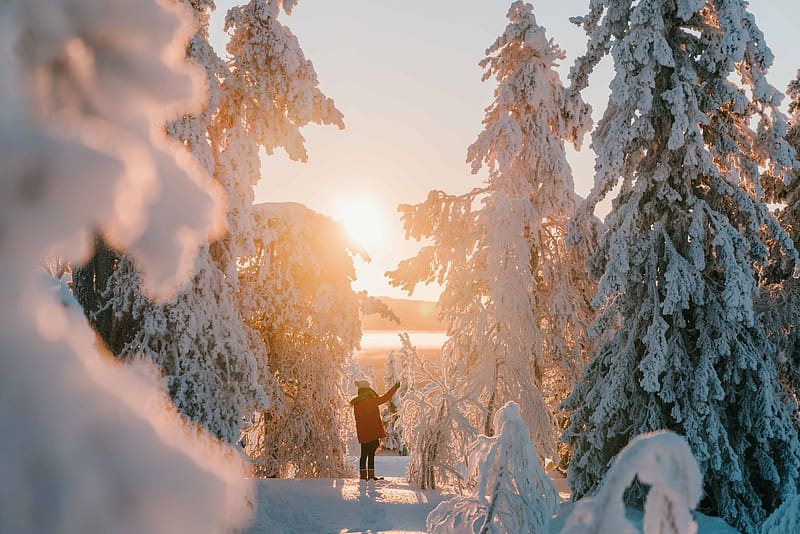 Woman stands in the midst of a snow-covered forest underneath a winter sunset, winter, coat, white, golden hour, cold, gold, woman, tree, snow, trees, nature, wilderness, sky, sun, forest, sunset, HD wallpaper