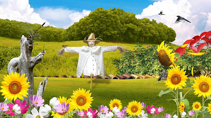 Scarecrow in Field, birds, firefox persona, scarecrow, country, trees, sky, clouds, farm, sunflowers, dragonfly, flowers, tomato plants, field, HD wallpaper