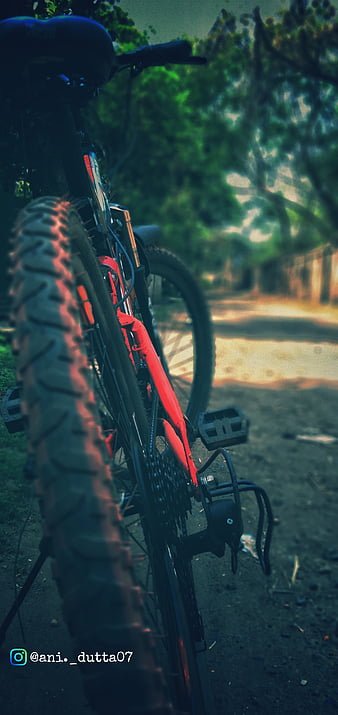 Mtb Rider Stock Photos Images and Backgrounds for Free Download
