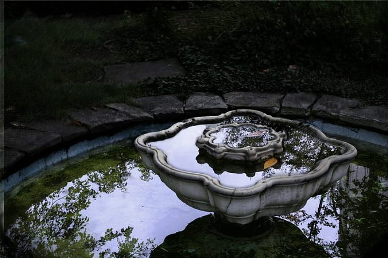 Fountain, pretty, tree, graphy, water, beauty, reflection, bulgaria, HD