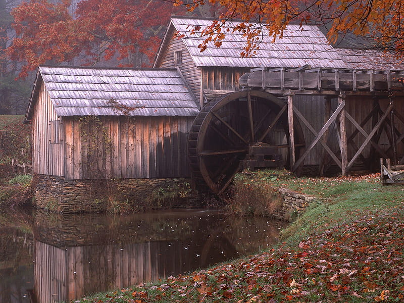 Mabry Mill, forest, autumn, house, water, watermill, mill, virginia, HD wallpaper