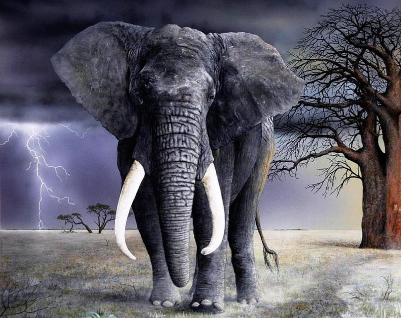 Thunder and Lightning bring Rain, Art, sky, tunder, lightning, Elephant,  nature, HD wallpaper | Peakpx