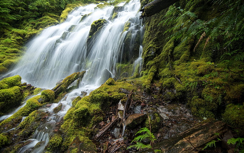 Upper Proxy Falls, Waterfall, rock, Oregon, USA, HD wallpaper