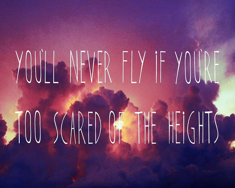 Fly, heights, never, scared, HD wallpaper | Peakpx