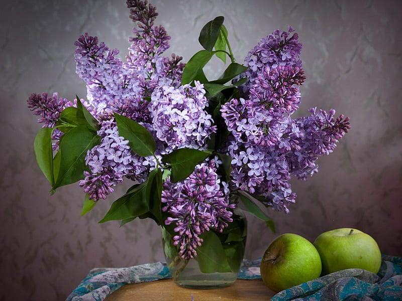 Still Life Lilac Isolated White Background Stock Photo by ©ALVERA