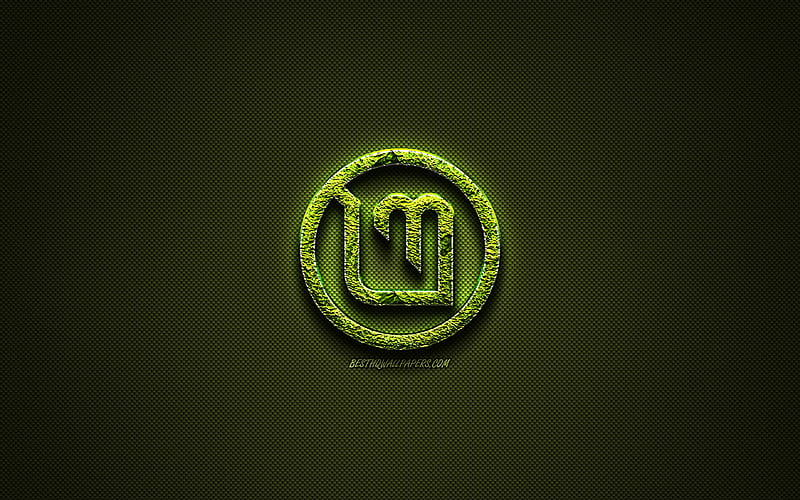 Linux Mint logo, creative nature art, Linux Mint, green carbon fiber texture, Linux Mint emblem, operating system, Linux, HD wallpaper