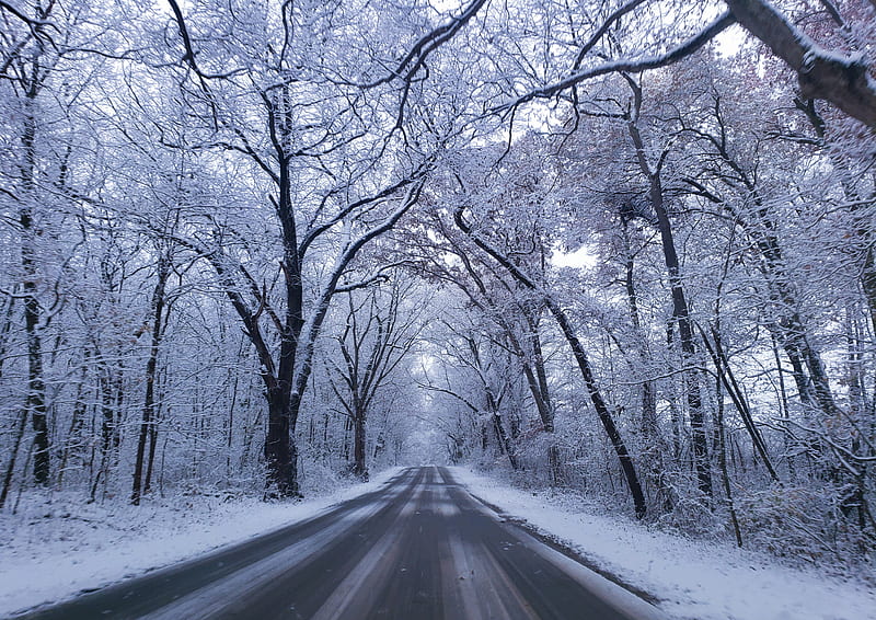 Winter wonderland , landscape, nature, road, tree, HD wallpaper