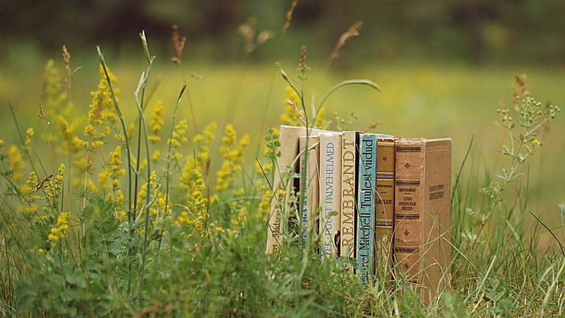 ~Summer Boocks~, grass, books, glade, mood, reading, plants, summer, herbs, nature, HD wallpaper