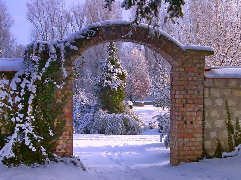 Arboretum winter, arch, garden, arboretum, park, winter, HD wallpaper