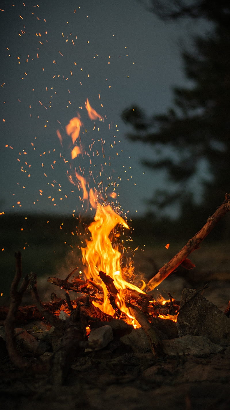 WoodFire, fire, red, wood, HD phone wallpaper
