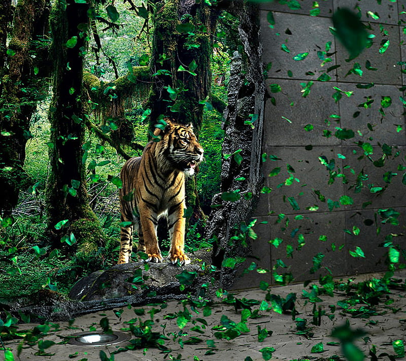 3d Tiger, animal, cat, forest, leaves, nature, new, wild, HD wallpaper