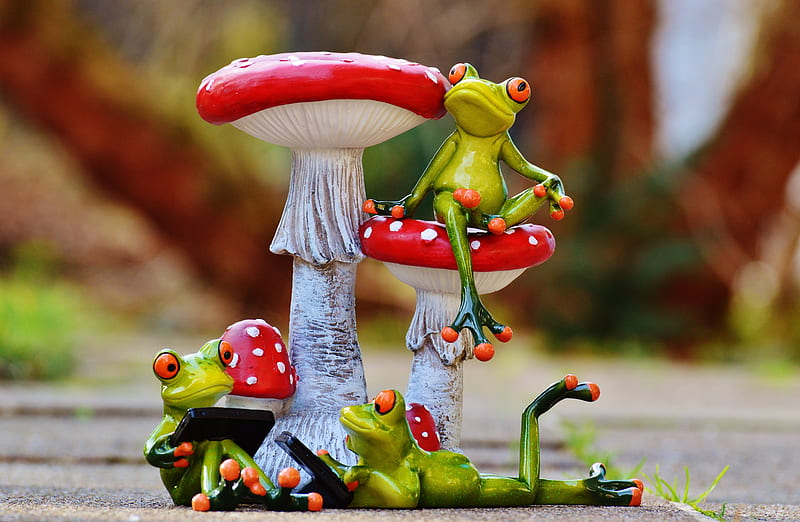 :), green, frog, red, broasca, mushroom, funny, figurine, HD wallpaper