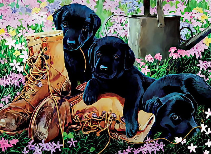 ★Black Lab Puppies★, gardening, boots, attractions in dreams, adorable, seasons, paintings, puppies, flowers, lovely flowers, drawings, animals, lovely, love four seasons, black, creative pre-made, spring, puppies and kittens, weird things people wear, outdoor, dogs, HD wallpaper