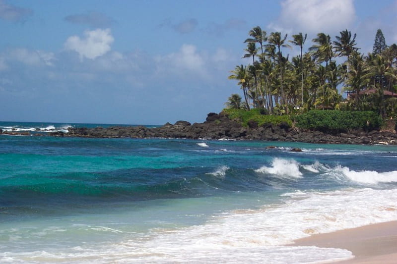 Turtle Beach in Oahu HI, Beaches, Oceans, Hawaii, Nature, HD wallpaper