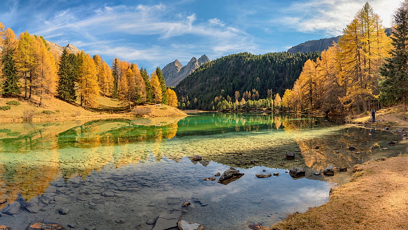 Green Yellow Autumn Trees With Reflection On Lai Da Palpuogna Lake In Switzerland Nature, HD wallpaper