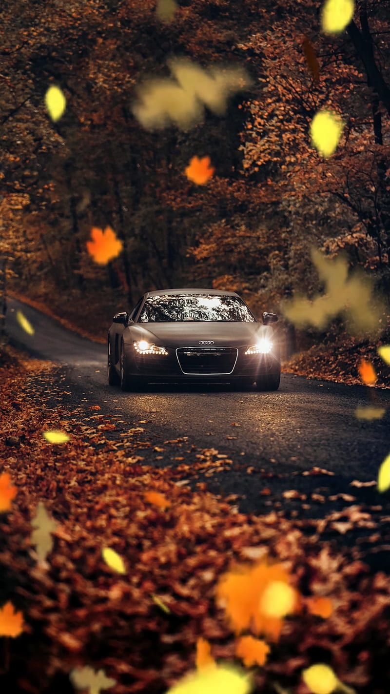 Autumn Car, fall, forest, leaf, leaves, moody, orange, road, tree, HD phone wallpaper