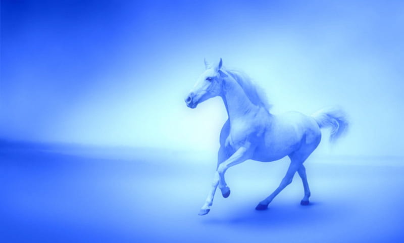 BLUE Dream , fantasy, horse, dream, imagination, blue, HD wallpaper