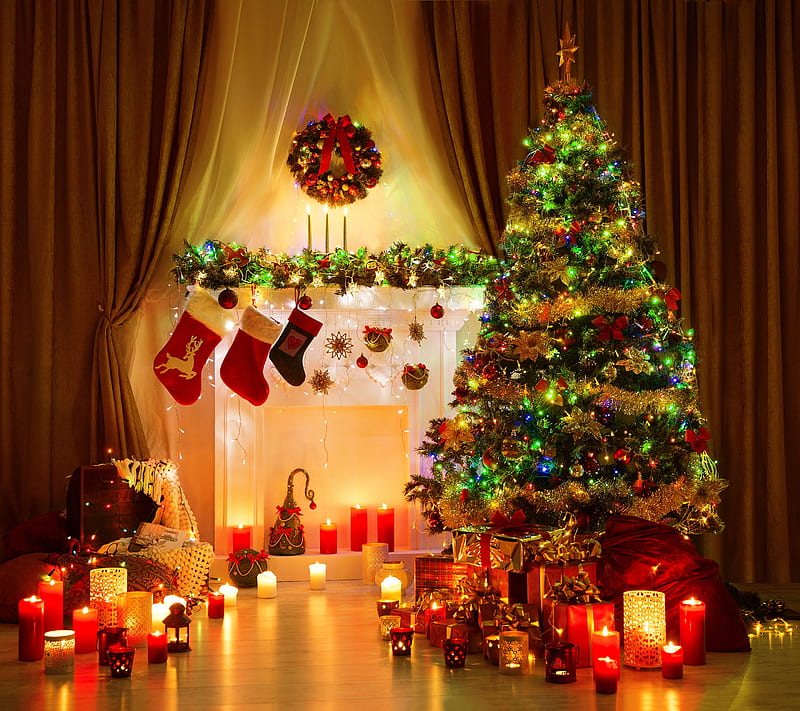 Christmas, holiday, season, tree, x-mas, xmas, HD wallpaper