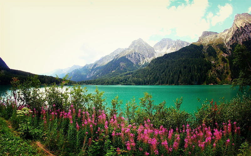 Mountain Lake After The Rain, forest, turquoise waters, mountains ...