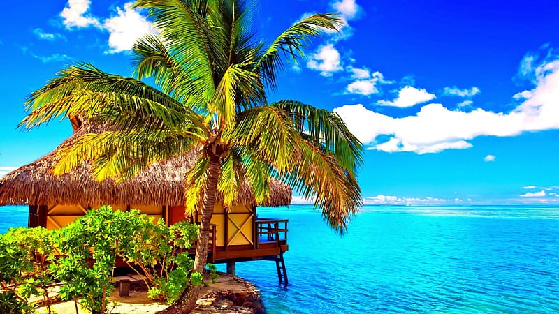 Moorea Island, Tahiti, French Polynesia, sky, palm tree, cabin, ocean ...