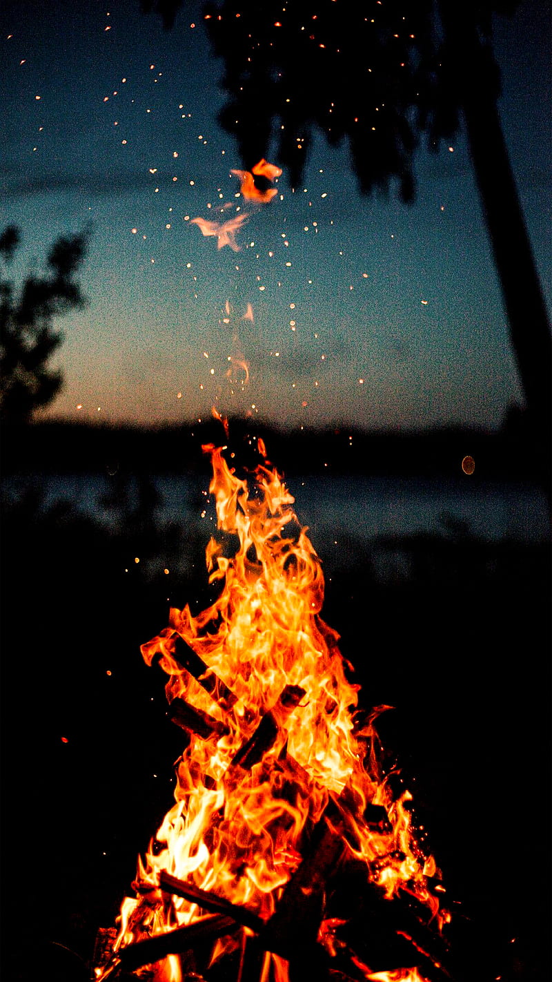 Fire , camp, dark, nature, outside, HD phone wallpaper