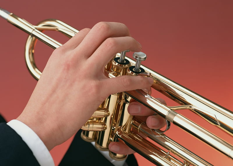 Trumpet Player, instrument, music, band, trumpet, player, HD wallpaper