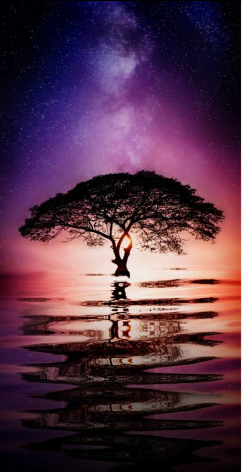 Mystical tree, night, sky, stars, starry, star, colors, wings, dark, HD  phone wallpaper | Peakpx