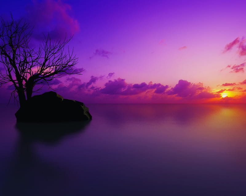 Sunset – The Purple Vault
