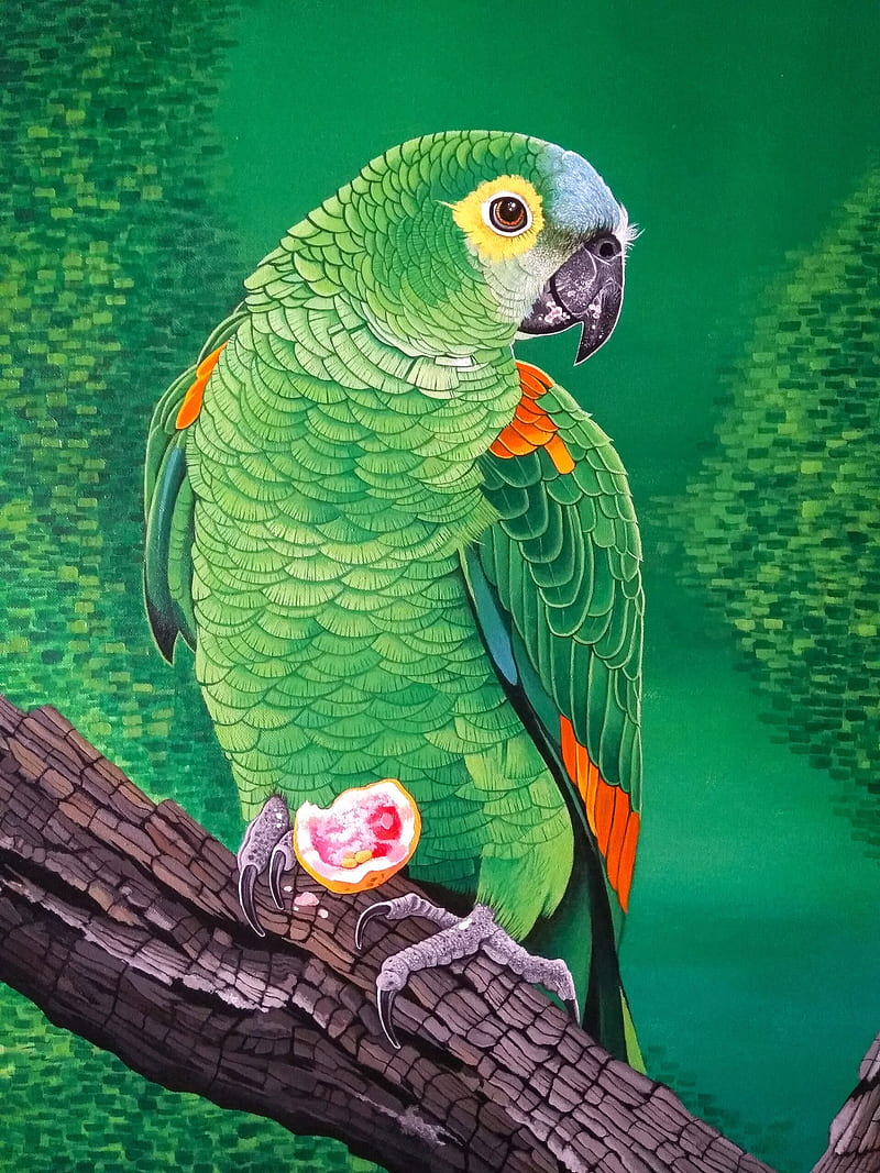 macaw, parrot, bird, bright, branch, art, HD phone wallpaper