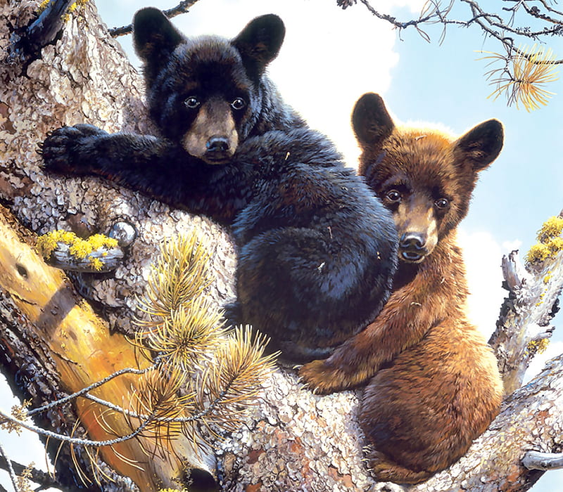 High Adventures - Bear F, art, bear, bonito, illustration, artwork, animal, painting, wide screen, wildlife, nature, cubs, HD wallpaper