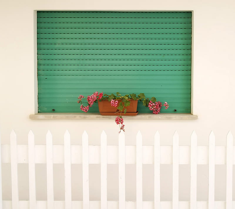 Flower Pot, fence, red, pots, sill, window, flower, bonito, white, HD wallpaper