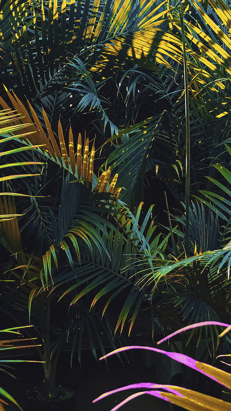 Nature Therapy (II), outdoors, graphy, plants, psicodelia, retrowave, surreal, synthwave, tropical, vaporwave, HD phone wallpaper