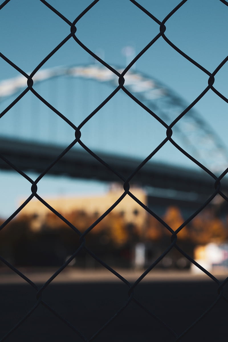 fence, mesh, grid, blur, HD phone wallpaper