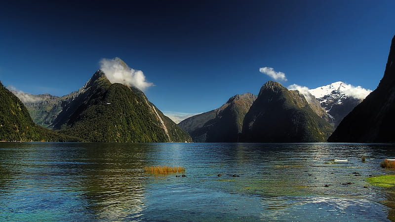 New Zealand panorama, Sea, Mountains, Trees, Coastline, River, Lake ...