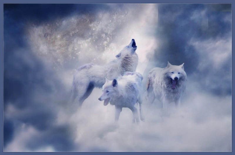 WOLF MOON, CLOUDS, ANIMALS, MOON, HOWLING, WOLVES, HD wallpaper